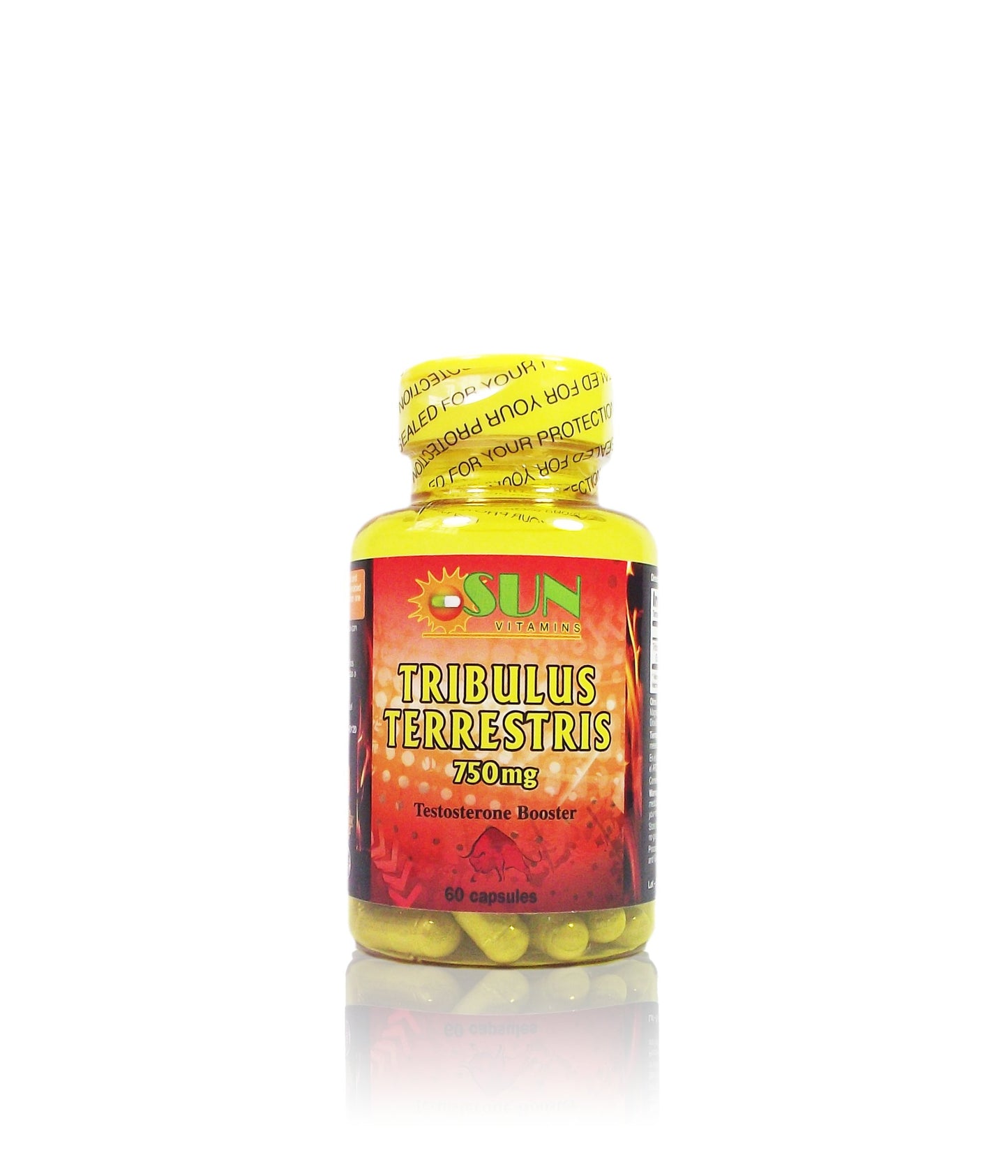 TRIBULUS TERRESTRE X60